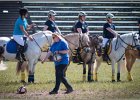 Pferd International 026